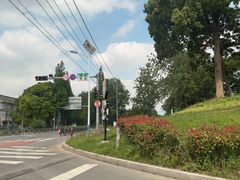 -平湖九龙山旅游度假区