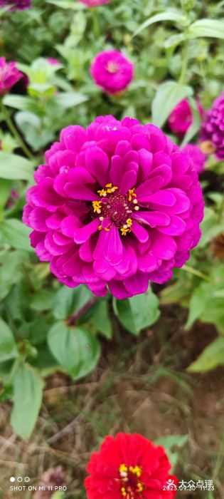 花博汇(知音花月夜)图片