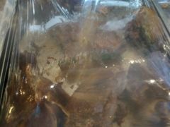 -烤肉宛饭庄(北新桥店)