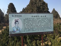 -茂陵博物馆