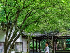 -灵栖洞天
