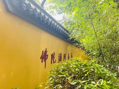 -灵谷景区