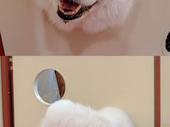 -和它·交个朋友·狗咖猫咖(爱琴海店)
