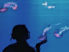 -多彩贵州城极地海洋世界