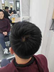 -YESIDO椰岛造型