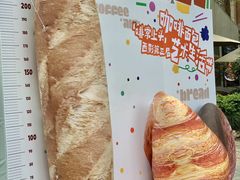 -西安电影制片厂