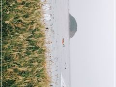 -西涌国际滨海旅游区