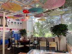 -蘑统田下·野生菌火锅