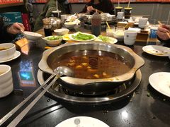 -冯记香辣兔火锅(茶店子总店)