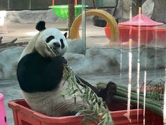 -栾川竹海野生动物园