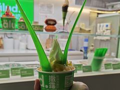 -Salud撒露欧洲冻酸奶(蓝色港湾店)