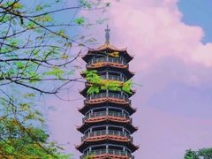 -红花山公园