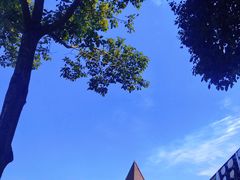-空港花田景区