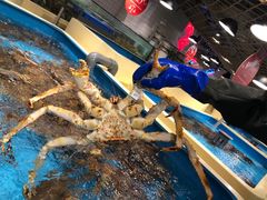 -日进一片海.生腌海鲜火锅.宵夜烧烤(三里屯总店)