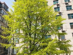 -金家休闲餐吧(金家小吃四店)