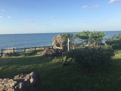 -龙头岩(Dragon Head Rock)