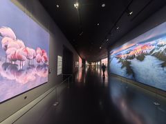 -罗红摄影艺术馆