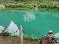 -靖西鹅泉风景区
