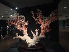 -台北故宫博物院