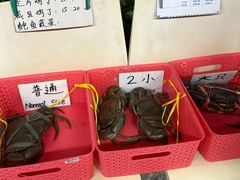 -龙海鲜螃蟹王(宏茂桥店)