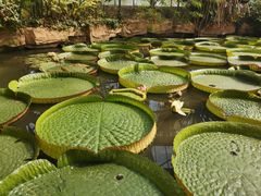 -华南国家植物园-售票处