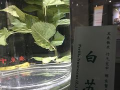 -广东中医药博物馆