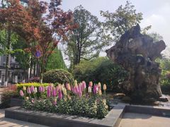 -成飞公园
