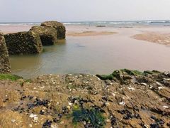 -渡海小渔村.老辈日照菜
