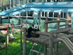 -大连森林动物园