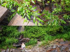 -苏木山森林公园