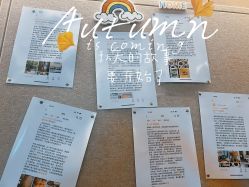 -金芙美月子中心(财富别墅店)
