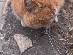 -北京凤凰岭