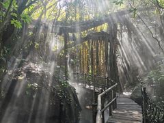 -青青世界