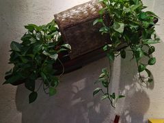 -小小河边鱼(天润城店)