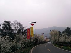 -樱桃山旅游景区