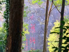 -水濂山森林公园