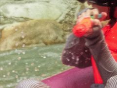 -雅鲁激流探险漂流