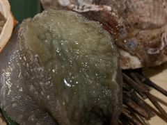 -矶野水产(澳门逸园中心店)