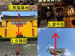-成都大熊猫繁育研究基地