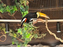 -Zoolung Zoolung动物主题公园(海信广场店)