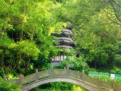 -深圳国际园林花卉博览园