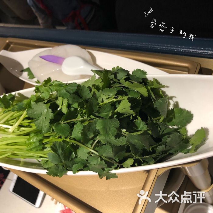 海底捞火锅香菜图片-北京火锅-大众点评网