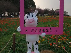 -秀丽东方