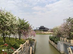 -海珠湖公园