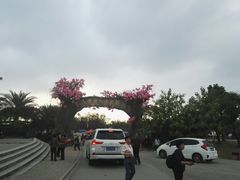-天适樱花悠乐园