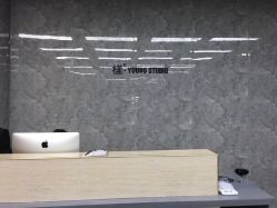 -INS羽毛接发·巴黎画染