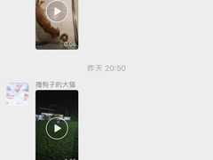 -趣玩宠物乐园寄养训犬训狗游泳池