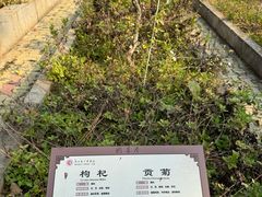 -马王堆汉墓遗址