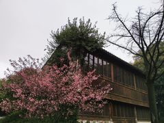 -惠山古镇·寄畅园