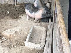 -宁波九龙湖开元度假村